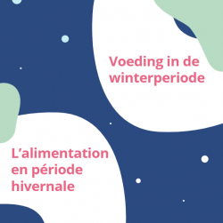 alimentation hivernale.png