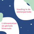 alimentation hivernale.png